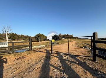 Rural · 19ha · Chácara Sítio Fazenda a Venda Em São Gabriel Rio Grande do Sul