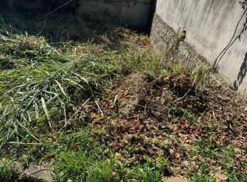 Terreno · 302m² · Terreno à Venda em Ilhabela - Oportunidade Imperdível!