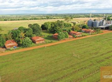 Foto 05 · Fazenda à venda em Nova Andradina Mato Grosso do Sul - 1.587,60 hectares de área! ivinhema