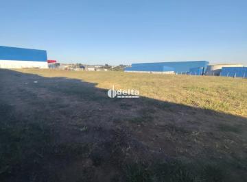 Terreno · 10000m² · Terreno Comercial disponível para locação no Setor Industrial em Uberlândia Mg