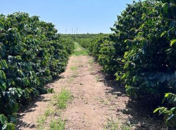 b41bcb06ce7967b8fd82a1ed66892c65.jpeg · Fazenda / Sítios / Chácaras à venda em Garça, no bairro Área Rural De Garça