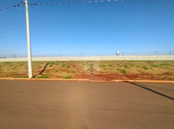 7f7c1fdedad24e50db4aa0fc25c348a6c5af9ad7 · Terreno à venda, 411 m² por R$ 380.000,00 - Condomínio Europa III  - Jaú/SP
