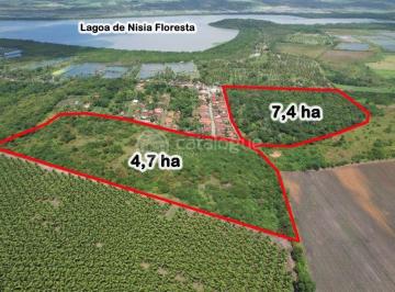 Terreno · 121000m² · Area a Venda – Nisia Floresta / RN - 12,1 Ha