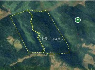 994e9bbf8a19f02466eed66c63e38c428ba12510 · Área Rural com Potencial Florestal e Pecuário no Paraná