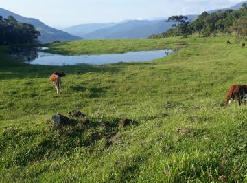 Rural , Três Forquilhas · Fazenda / sítio à venda.