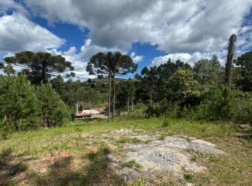 596053.jpg · Terreno - Bairro Dutra