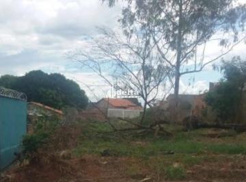 Terreno · 465m² · Terreno disponível para venda no bairro Jardim Canaã em Uberlândia-MG