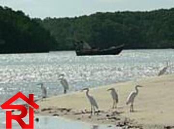 Foto 01 · Ilha, Centro, Humberto de Campos, MA