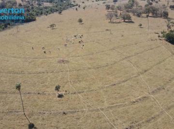 Foto 30 · Fazenda com 58,62 alqueires ou seja 283,72 hectares no municipio de Verissimo - MG.