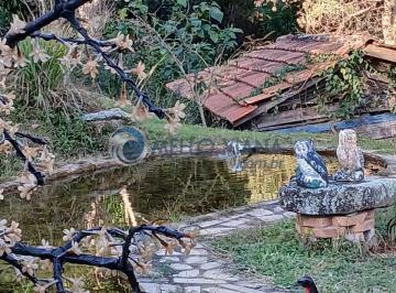 Foto 05 · Sítio à venda em Baependi-MG: 3 quartos, 1 sala, 2 banheiros e 15 hectares de área. Confira!