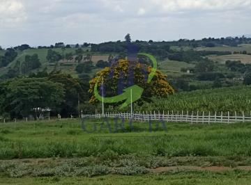 Foto 01 · Sitio, Bairro dos Borges (área Rural de Mogi Mirim), Mogi Mirim, SP