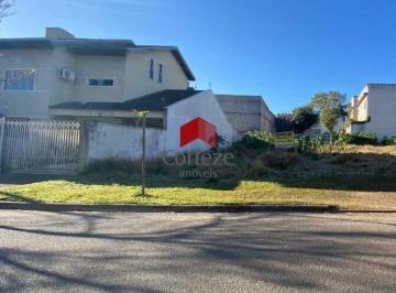 Terreno · 259m² · Terreno com 259,3m² , à venda, no bairro Afonso Pena em São José dos Pinhais