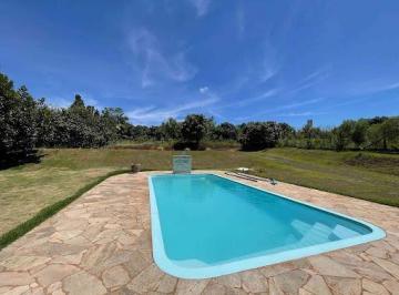 8d3a26a642943cafff8714a4828ea3ab53295914 · Chácara à venda, 4000 m² por R$ 550.000,00 - Warta - Londrina/PR