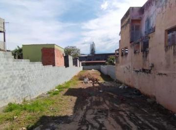 v61qxd82odg4zjdimmm2mjdj_md · Terreno maravilhoso 10x70 Vila Nova York, Venda ou aluguel!