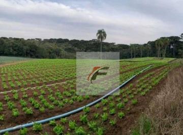 ba788683c14ecd4b496a09d5839184abf5346315 · Terreno à venda, 21000 m² por R$ 4.490.000 - Umbará - Curitiba/PR