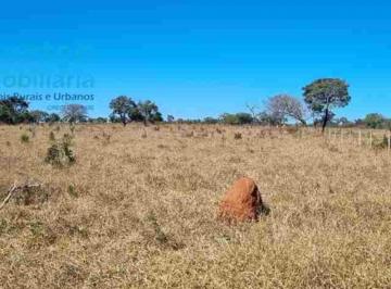 Foto 03 · Sítio 48.400m2 (01 Alqueire) - OPORTUNIDADE - Moradia, lazer e pequenos empreendimentos Agropecuário