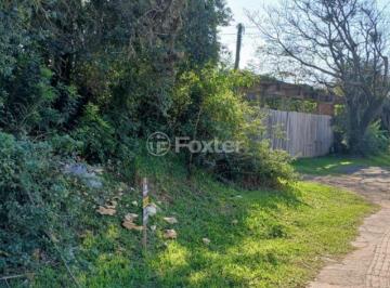 e68600b2c46187359d9d31fb7917825e.jpeg · Terreno, 3131 m², em Passo das Pedras