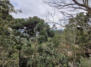 IMG_20260612_105504_000.jpeg · Casa no condomínio Parque Petrópolis - 4º Seção para venda com 4 quartos, 350m² - remaxmamede#QAJG8