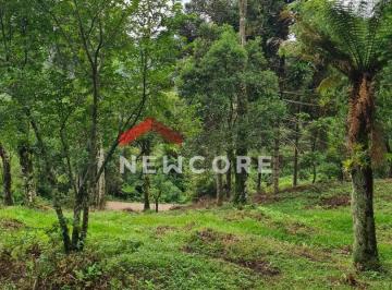Terreno · 3400m² · Lote em  Rua dos Pessegueiros - Campo do Meio - São Francisco de Paula/RS