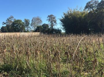 Terreno , Cesário Lange · Terreno de 2.000m² em Cesário Lange-SP