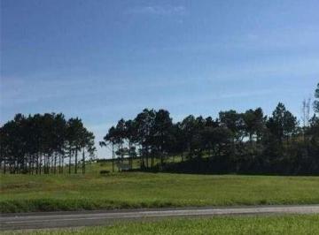 Terreno · 10900m² · Área em Centro, Sorocaba/SP de 0m² à venda por R$ 3.900.000,00 ou para locação R$ 9.500,00/mes