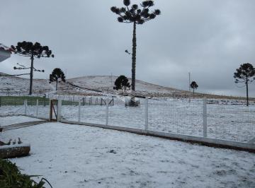 705578_i8qFMXxdi8R886j9248W_705578688e3cdb2cdb8.jpg · FAZENDA COM 2 DORMITÓRIOS EM SÃO FRANCISCO DE PAULA - RS, VÁRZEA DO CEDRO
