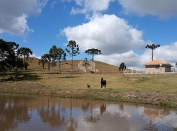 705578_i8qFMXxdi8R886j9248W_705578688e3c5fa20c4.jpg · FAZENDA COM 2 DORMITÓRIOS EM SÃO FRANCISCO DE PAULA - RS, VÁRZEA DO CEDRO