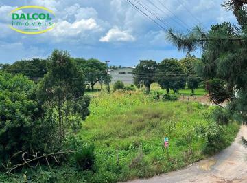 a29d201e8032f49e10536e6ffa1fd08c8ab20561 · Terreno à venda, 957 m² por R$ 750.000,00 - Jardim Emília - Campo Largo/PR