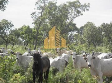 Rural , São Félix do Araguaia · Fazenda à venda com área total de 4.988 hectares ou 1030 alqueires