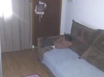 Apartamento · 50m² · 2 Quartos · 1 Vaga · Apartamento no Jardim Maria de Lourdes em Guarulhos - SP código 58915