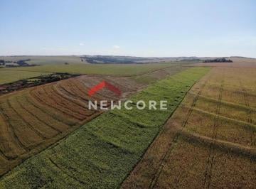 Rural · 60500m² · 1 Quarto · Sítio em Avenida Colombo - Gleba Patrimônio Maringá - Maringá/PR