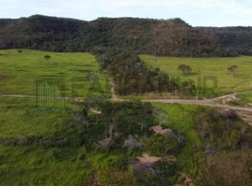 Foto 06 · Fazenda à venda em Campos Lindos-TO: 6.706 hectares de pura oportunidade de investimento!