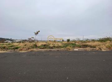 202508051019225062.jpg · Terreno para Venda em Presidente Prudente, Jardim Novo Bongiovani