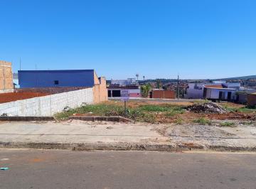 Foto 01 · TERRENO BAIRRO PADRE PEDRO