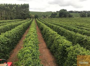 Foto 01 · Fazenda à venda em Fortuna de Minas-MG: 1 quarto e 1.330,00 hectares de área.