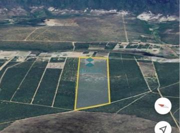 Foto 01 · Área de 4 hectares à venda em Mucugê - Terreno escriturado e documentação 100% regularizada e com vi
