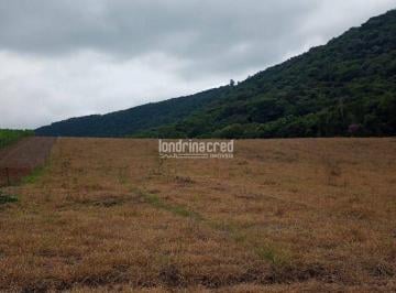 8zywyak2ytiwmjrmmzjlzmy4_md · Chácara à Venda em Gleba 01, Tamarana - PR