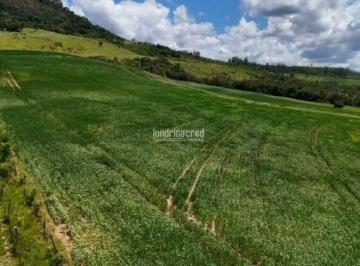 aa5hrgu2ytiwm2y2mmrmogu2_md · Sítio à Venda em Rural, Arapoti - PR