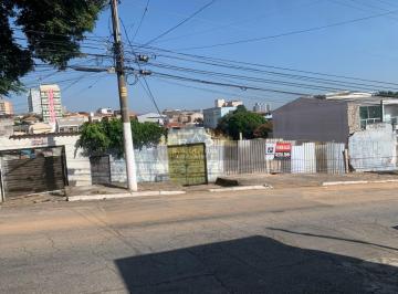 202508052308418899.jpg · Terreno para Locação em São Paulo, Vila Marieta