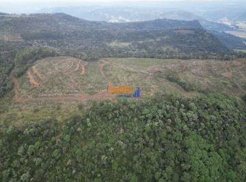 qaeo9hq2odkxy2y5zjhkyzkx_md · Sitio terreno rural em Urubici - Sc com 122 hectares, pinheiros e natureza...