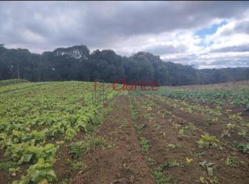 Foto 01 · Chacara, Colônia Murici, São José dos Pinhais, PR