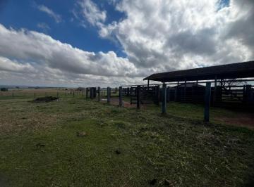Foto 01 · Fazenda à venda em Umuarama - PR com 35,00 alqueires de área