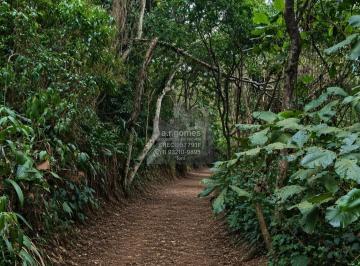 Rural · 29000m² · 10 Vagas · Chácara em Mombaça, Itapecerica da Serra/SP de 29000m² à venda por R$ 610.000,00