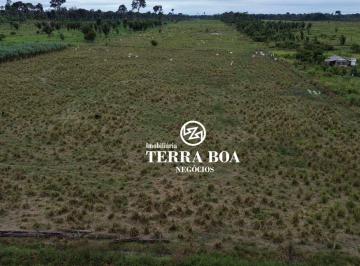 940d7485e618479fa154baba596fb4abd63d55b7 · Sitio 27 Hectares - Todo Formado - Candeias do Jamari