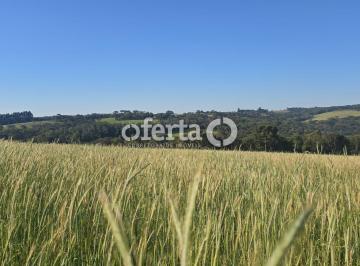 Rural · 229900m² · Área de planta na Lapa / Mato Preto