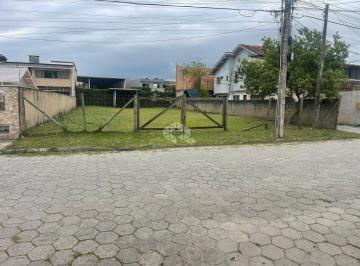 652847_i5jY722OJ95U4_65284767229284bb58f.jpg · terreno murado no Campeche Florianopolis/SC