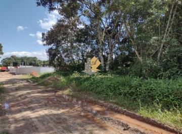 202508062112412198.jpg · Terreno para Venda em São Francisco do Sul, Reta