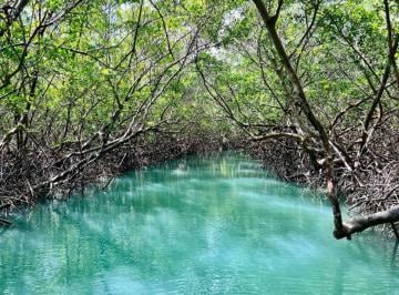 Terreno Venda R$ 2.000.000 · Terreno beira mar a venda em icarai de amontada
