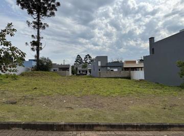 504187.jpg · Terreno - Bairro Centro
