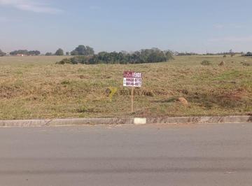 xtpheec2odgzztdimtjkmze2_md · Terreno à venda - Residencial Trevisan - Cerquilho